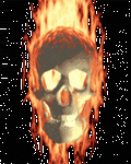 pic for Skull Fire